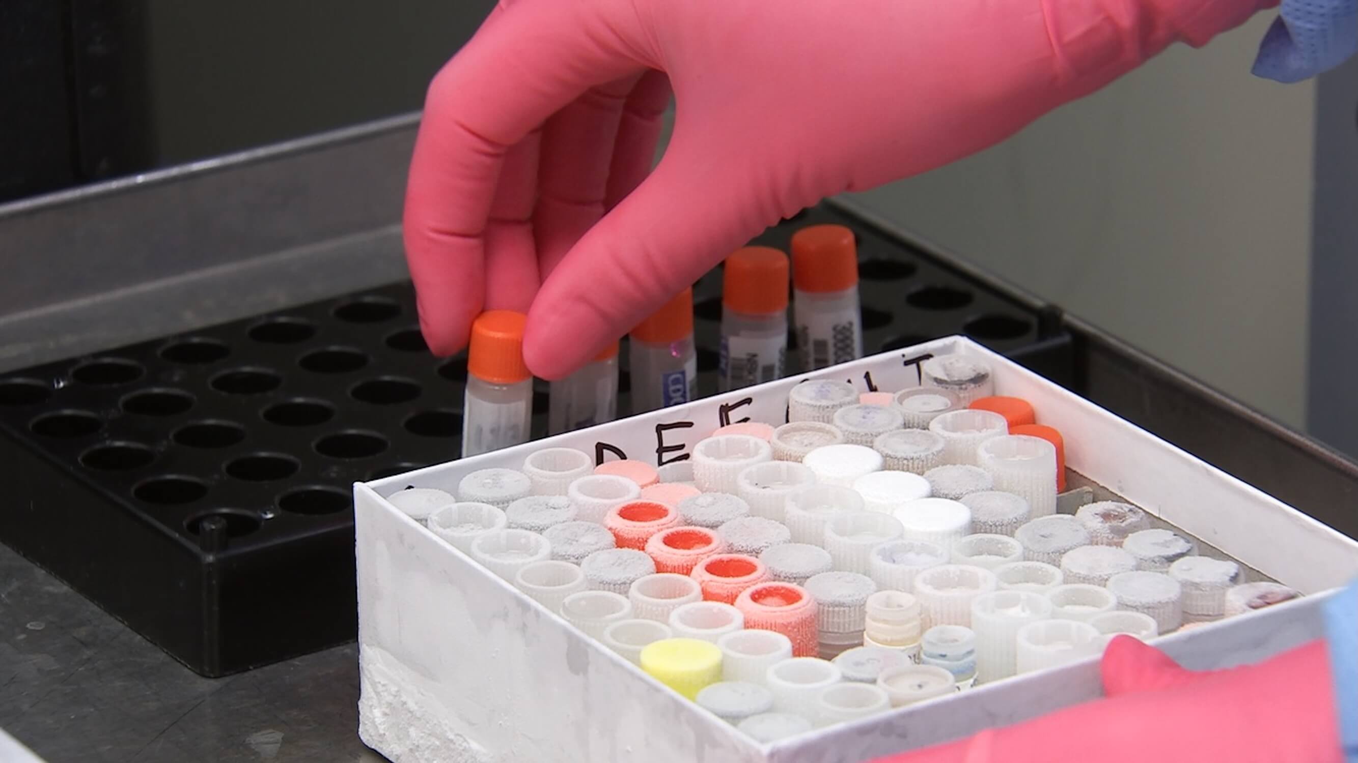 Person with gloved hand moving test tubes in a lab