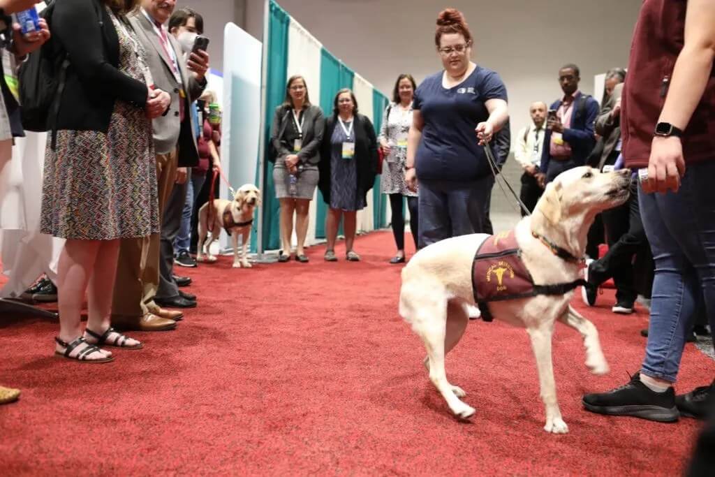COVID detection dogs greet attendees.