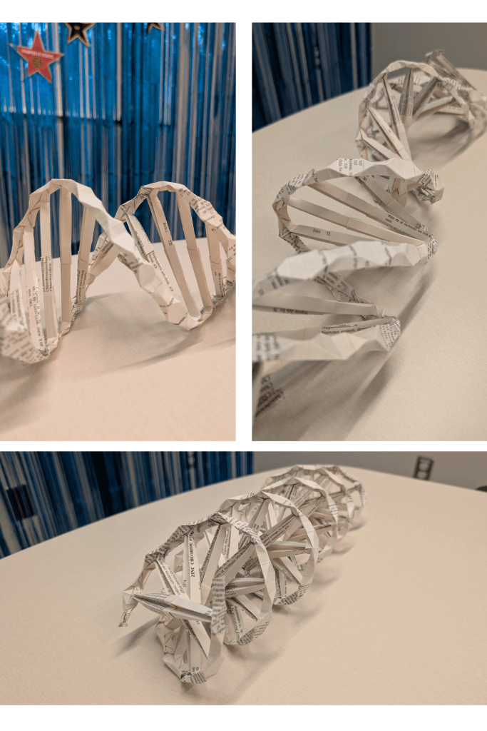 Best Use of Recycled Materials: DNA Double Helix by Kevin Trieu, Ventura County Public Health Laboratory. "The Origami DNA double helix is a model that I designed myself; it is made of individual modular units (the nucleotides) that are assembled to form the complete model. Each nucleotide contains three points of connection: two that create the backbone (phosphodiester bonds) and one that creates the rung of the DNA ladder (covalent bonds). The nucleotide also has a pentagonal core that represents the pentose sugar molecule. The whole DNA molecule itself is 33 base pairs (66 nucleotides), assembled without any glue or tape. It is only made of paper and the helical shape is natural. It is roughly about 50 million times larger than an actual DNA molecule of that length. When I thought about what medium to use for this piece, I decided to choose an old book that was about to be disposed from my laboratory’s library. Therefore, the DNA double helix is made up of pages of a laboratory chemical inventory book--the text could be seen on each nucleotide."
