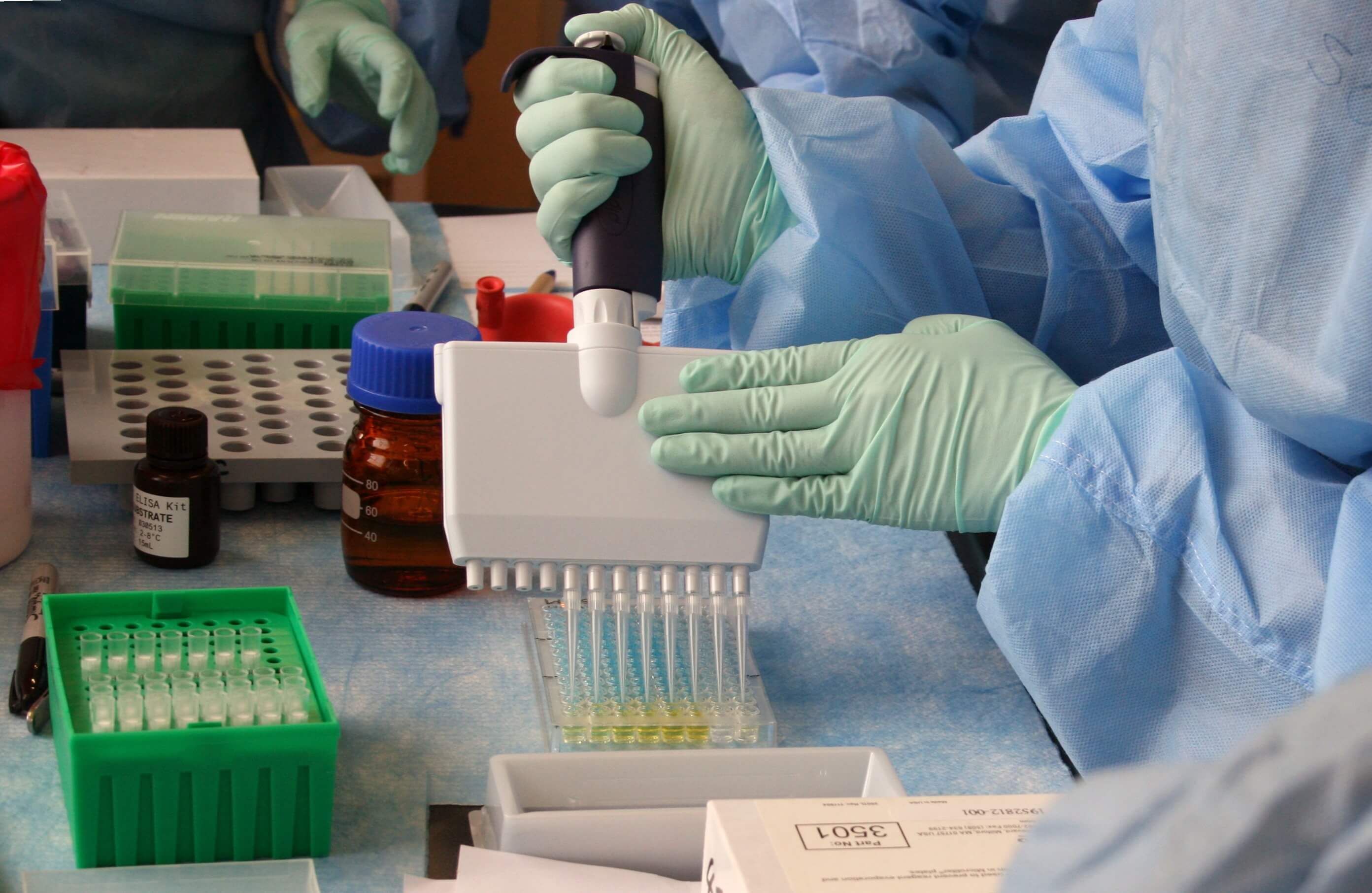 Laboratory scientist performing testing