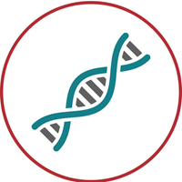DNA icon