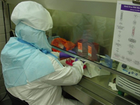 A scientist works in a biosafety cabinet testing samples for Ebola