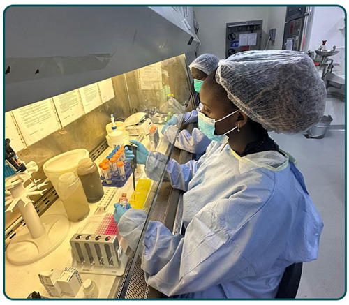 Laboratory staff process samples for pathogen determination. Photo: Ceres Nano.