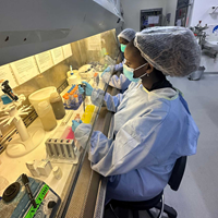Laboratory staff process samples for pathogen determination. Photo: Ceres Nano.