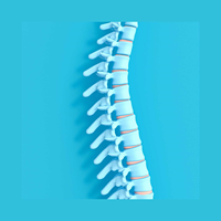 Bones of the spine illustrated against a teal background.