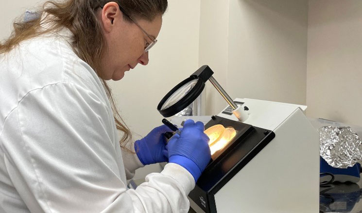 Staff working at the Napa-Solano-Yolo-Marin Public Health Laboratory.