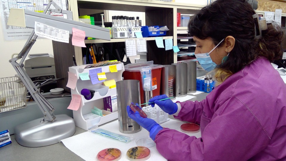 Staff working at the Napa-Solano-Yolo-Marin Public Health Laboratory.
