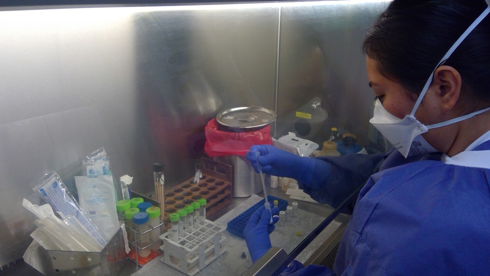 Staff working at the Napa-Solano-Yolo-Marin Public Health Laboratory.
